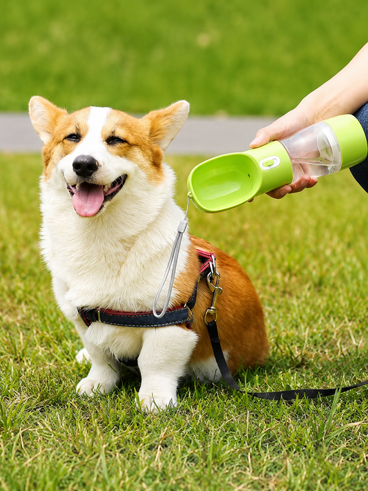 2-in-1 Portable Dog Water Bottle with Food Container